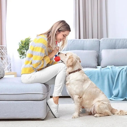 Interactive Dog Chew Ball with Rope – Teething & Training Toy | petpexi.com