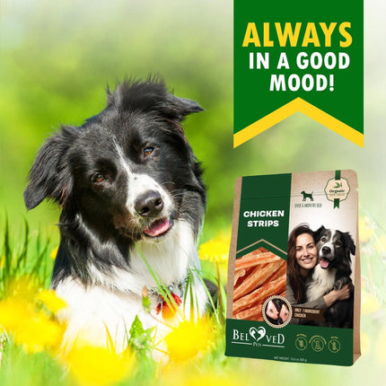 Beloved Pets Chicken Strips Dog Treats, Human-Grade, Grain-Free, 10.6 Oz-petpexi.com