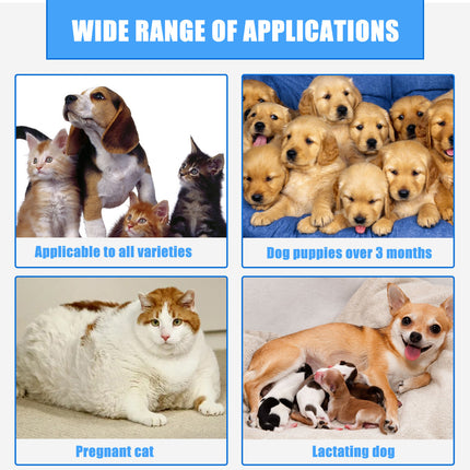 Pet Wound Care Spray for Dogs & Cats – Fast Healing & Skin Relief | Petpexi