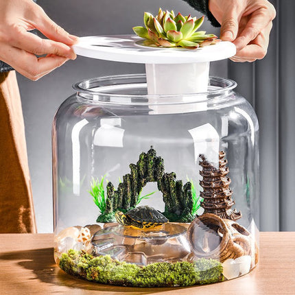 Transparent Plastic Ecological Desktop Landscaping Feeding Fish Tank – Large with Lid | PetPexi