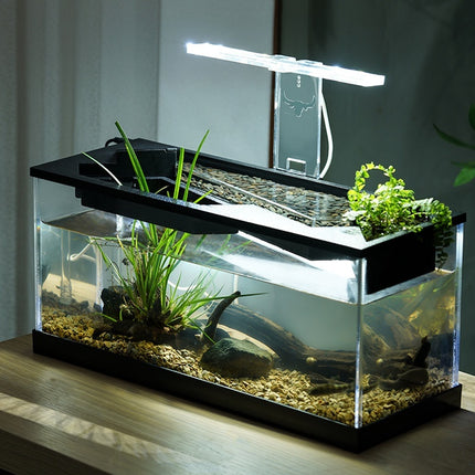 Premium Acrylic Lazy Aquarium with Built-In Filter, Heater & LED Lighting – Small | www.petpexi.com