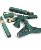 Green Suit