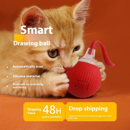 Interactive Cat Toy Ball – Super Drive Rolling Ball with Chirping & 3 Modes | Petpexi