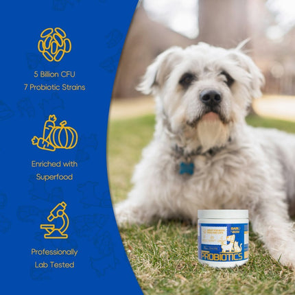 Bark and Meow Probiotics for Dogs & Cats - Gut & Immune Support, 7 Strains, Prebiotics, Pumpkin & Carrot, Made in USA