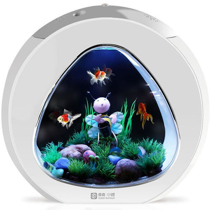 Desktop acrylic fish tank aquarium available in small and large sizes, clear and durable for aquatic pets

