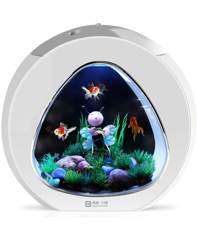 Desktop acrylic fish tank aquarium available in small and large sizes, clear and durable for aquatic pets

