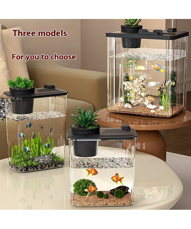 Small thickened plastic desktop fish tank designed for household aquatic pets, durable and clear

