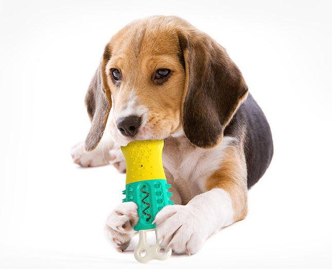 Summer Cooling Chew Toy for Dogs - Petpexi.com
