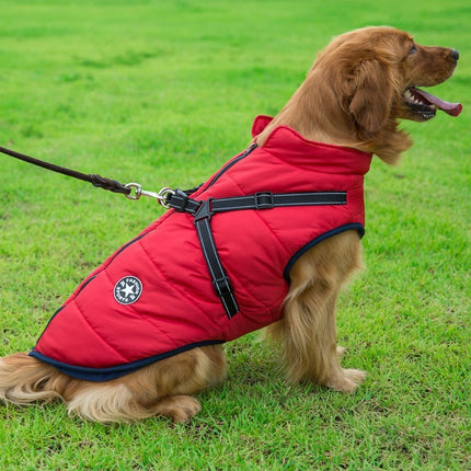 Chest-back cotton winter dog vest in red, green, blue, purple, and black – Waterproof & washable – Petpexi

