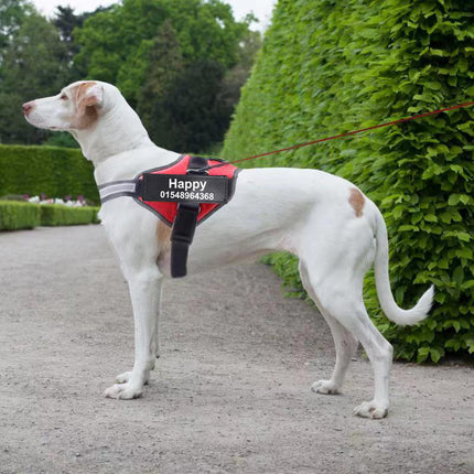 Personalized custom reflective breathable dog harness no pull adjustable for small large dogs and cats, best for French Bulldogs, puppy harness, cat harness at petpexi.com