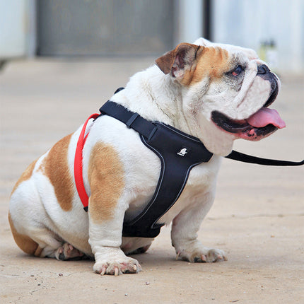 Dog Leash Collar Walking Harness - adjustable Oxford cloth and breathable mesh harness for small, medium, large dogs from petpexi.com