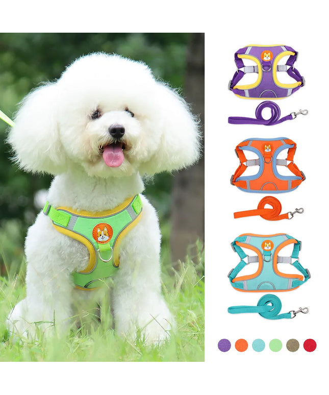 Adjustable no pull dog harness and leash set with reflective safety design for small dogs, puppies, cats, and French bulldogs – petpexi.com