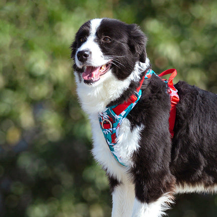 Dog Leashes & Chain Vest Straps – Durable Nylon Harness for All Dog Breeds | Petpexi