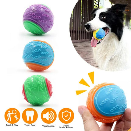 Dog Molar Long Lasting Ball TPR Toy – durable chew toy for dogs, interactive fetch ball, stress relief toy – www.petpexi.com