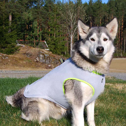 Dog wearing PetPexi summer traction harness cooling suit in gray green and gray orange, featuring breathable mesh and adjustable double zipper for comfort and security

