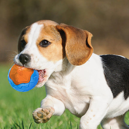 Dog Toy Ball Audible Glow Floating Chew Toy – Durable Interactive Fetch & Water Toy for Dogs | Petpexi