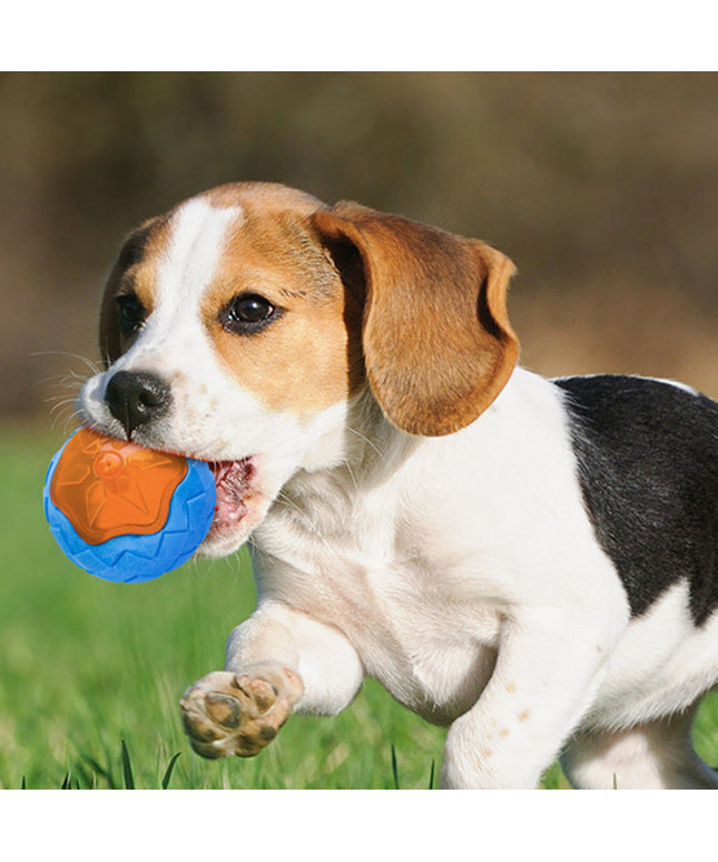 Dog Toy Ball Audible Glow Floating Chew Toy – Durable Interactive Fetch & Water Toy for Dogs | Petpexi