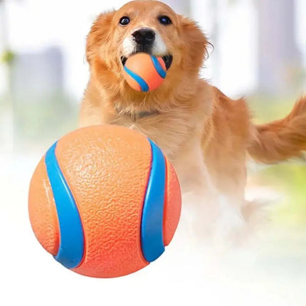 Durable rubber dog toy ball for fetch, chew, and interactive play – tough pet toy from www.petpexi.com
 with free USA shipping.