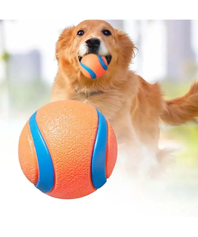 Durable rubber dog toy ball for fetch, chew, and interactive play – tough pet toy from www.petpexi.com
 with free USA shipping.
