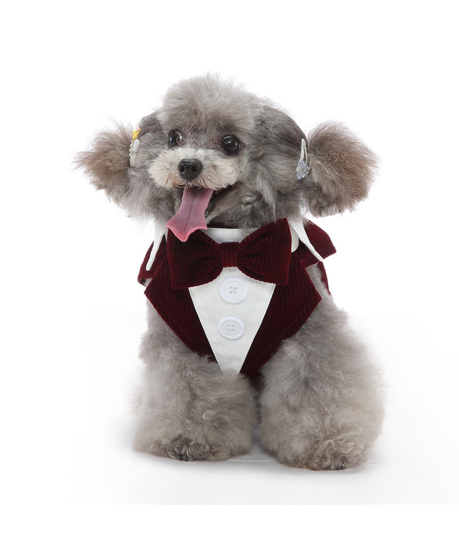 Elegant dog tuxedo dress for small dogs – formal pet outfit from Petpexi with fast free shipping in the USA

