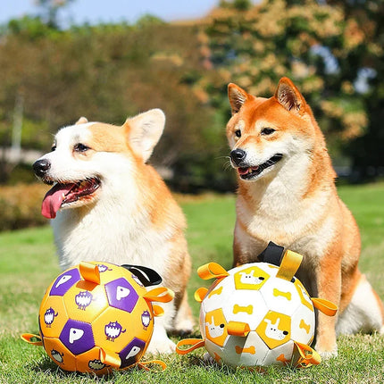 Interactive dog football toy with cute prints for training and play from www.petpexi.com