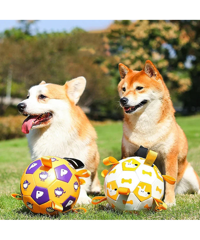 Interactive dog football toy with cute prints for training and play from www.petpexi.com