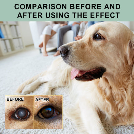 Bottle of dogs and cats eye care eye drops by Petpexi, 100ml soothing moisturizing formula for pet eye health and irritation relief

