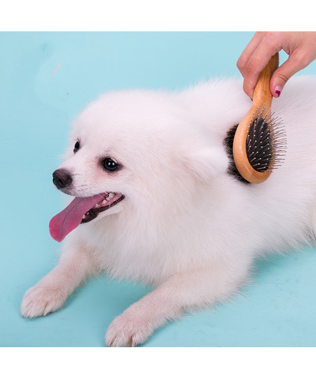 Double-sided pet comb with stainless steel needles for dogs by Petpexi, available in multiple sizes for effective grooming and hair removal


