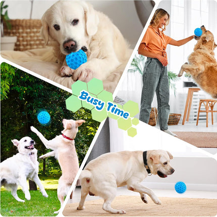 Squeaky Dog Toys and Indestructible Dog Balls for Aggressive Chewers