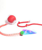 The Dragonflys Tail Is Red