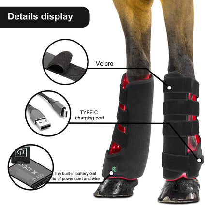 Portable Phototherapy for Horse Legs – Equine Recovery Device | www.petpexi.com