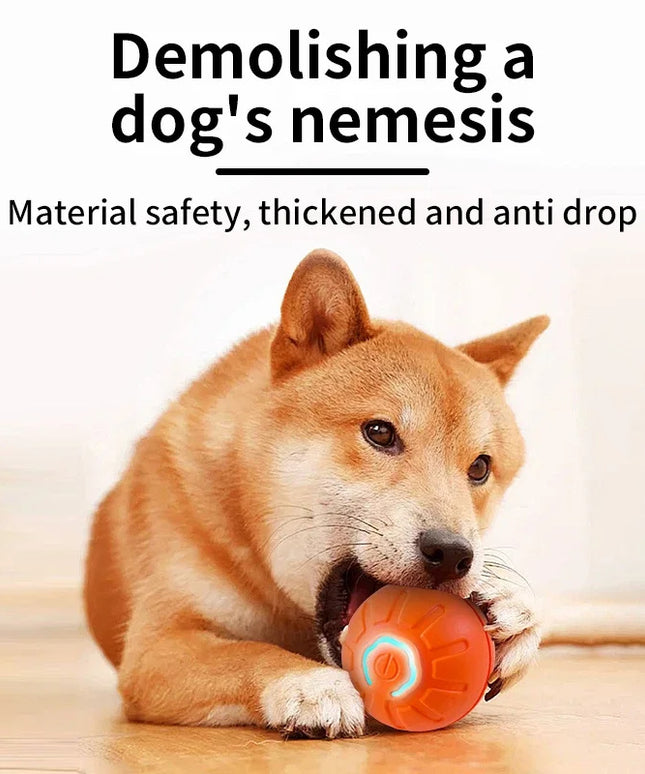 Smart Dog Toy Ball - Interactive USB Rechargeable Pet Toy at PetPexi
