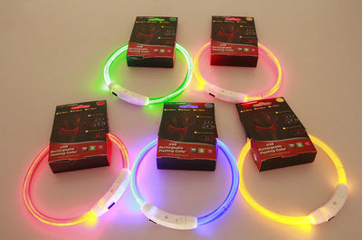 Pet Flashing USB Rechargeable Glowing Dog Collar – Safety Optical Fiber LED Necklace | Petpexi