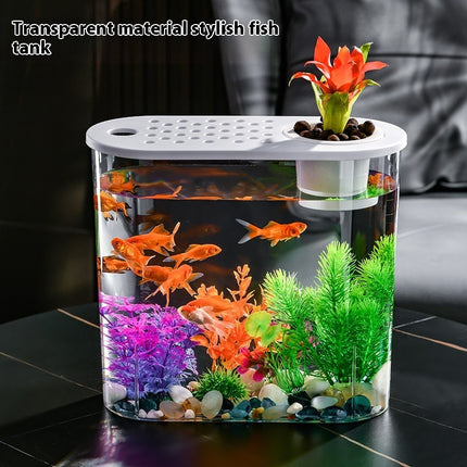 Acrylic Transparent Ecological Goldfish Tank – Hydroponic & Soil Design | PetPexi