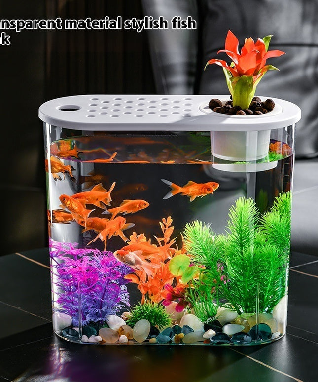 Acrylic Transparent Ecological Goldfish Tank – Hydroponic & Soil Design | PetPexi