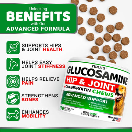 Yuma's Glucosamine For Dogs – Hip & Joint Supplement | 170 Chews | Pain Relief & Enhanced Mobility | Premium Quality | Fast & Free Shipping in the USA | www.petpexi.com
