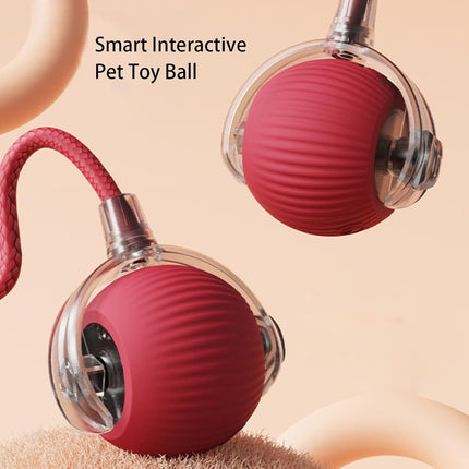 Smart Rolling Ball Toy for Dogs & Cats – Interactive 360° Motion with Rope | petpexi.com