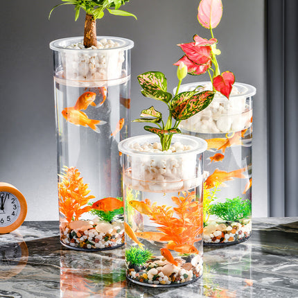 Column Fish Tank for Living Room – Micro Landscape Desktop Aquarium | PetPexi