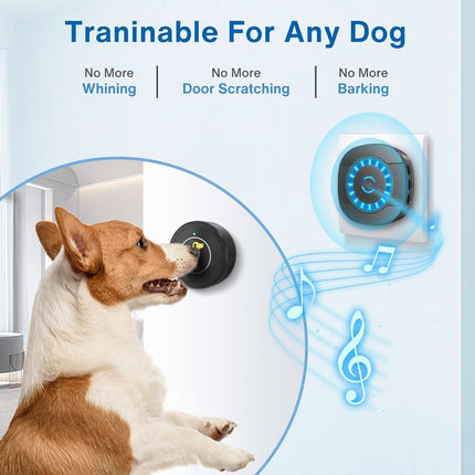 Smart Dog Doorbell – Waterproof Touch Bell for Potty Training | PetPexi