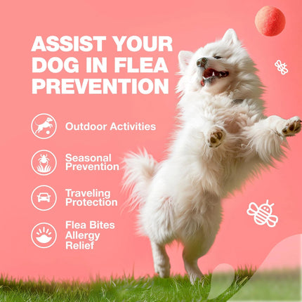 Dog Flea and Tick Treatment Chews – Natural Flea & Tick Prevention for Dogs – Immune Support Chewables – Soft Treats for All Breeds & Ages – Free U.S. Shipping