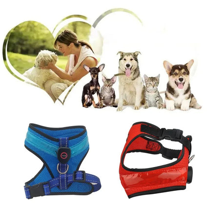 LED Luminous Dog Harness – USB Rechargeable Reflective Safety Chest Strap Vest for Dogs | Petpexi
