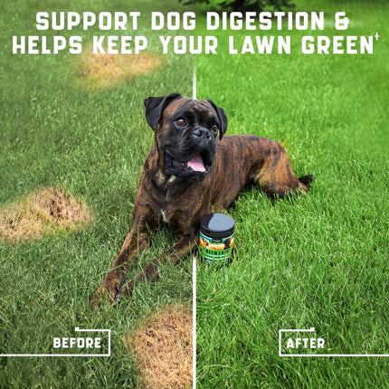 Green Lawn Chews for Dogs - Cranberry & ACV Dog Urine Neutralizer - 180 Tasty Treats | Petpexi