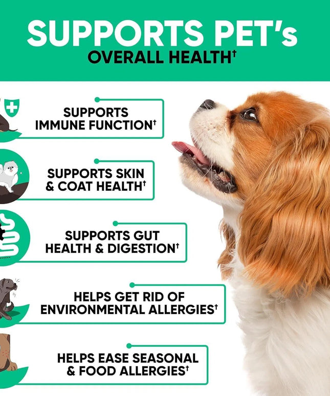 Kinpur Pet Care Natural Dog Allergy Chews for Itchy Skin & Hot Spots - 180 Treats