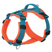 Orange Blue / L