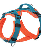 Orange Blue