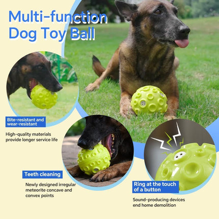 Interactive Squeaky Dog Ball – Durable Chew Toy for Aggressive Chewers | petpexi.com