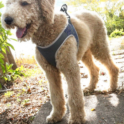 Dog Leash Vest Pet Harness Bullfight Adjustable Chest Strap for All Breeds - petpexi.com