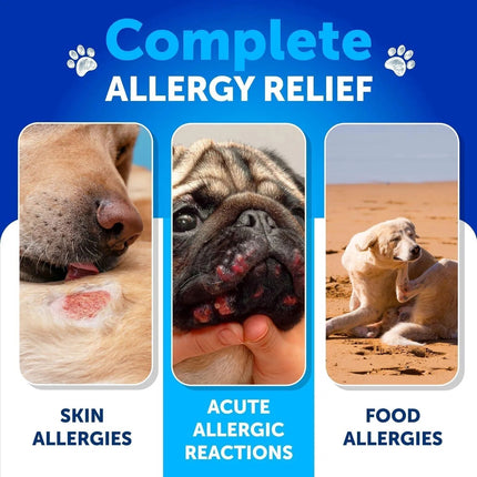 Dog Allergy Relief Chews - Itch Relief & Immune Support for Dogs, 120 Soft Treats