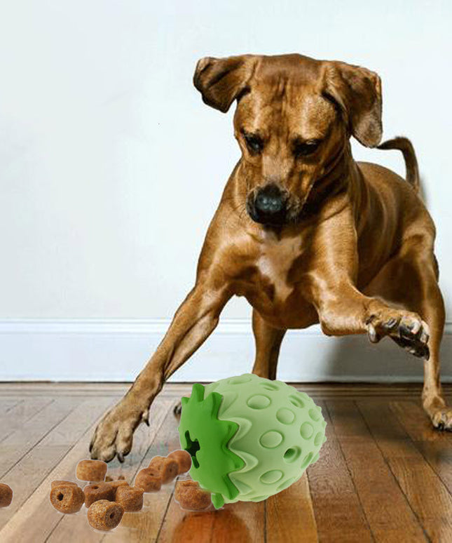 Chew Resistant Strawberry Leak Food Ball for Dogs & Cats - Free Shipping USA | Petpexi