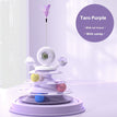 Taro Purple Cat Teaser / Box Packaging